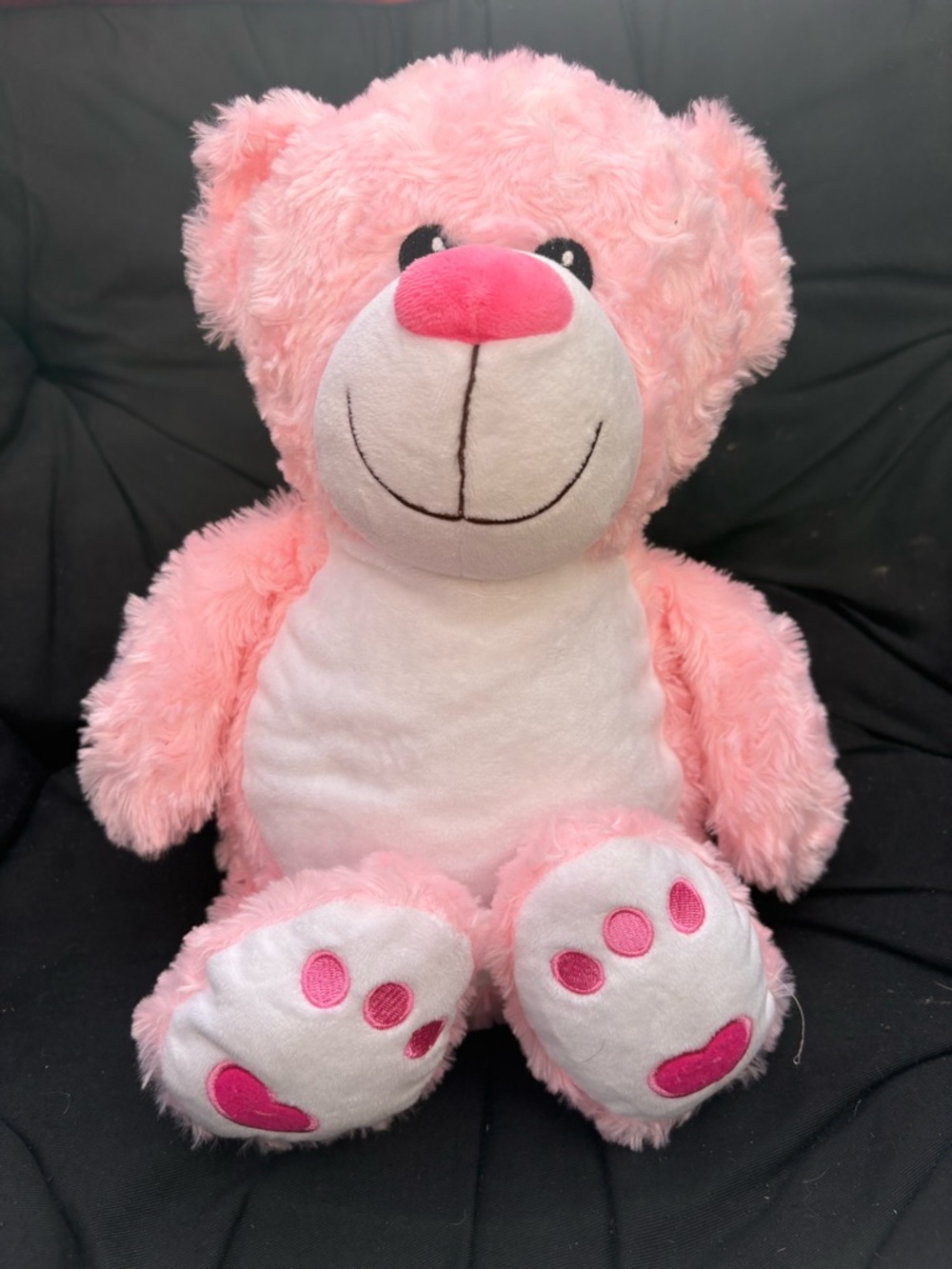 Bitsy Bon Pink Teddy Bear  - Soft Swirl Fur with Secret Back Zipper